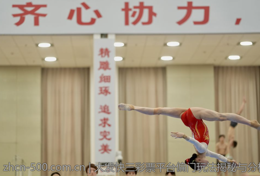 大发快三彩票平台偏门玩法揭秘与分析
