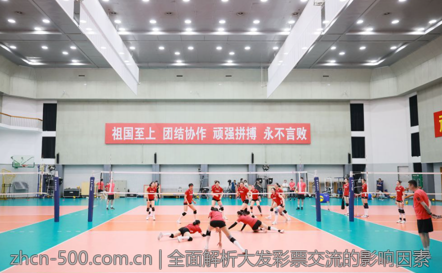 全面解析大发彩票交流的影响因素